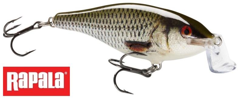 Shallow Shad Rap 05 SSR05