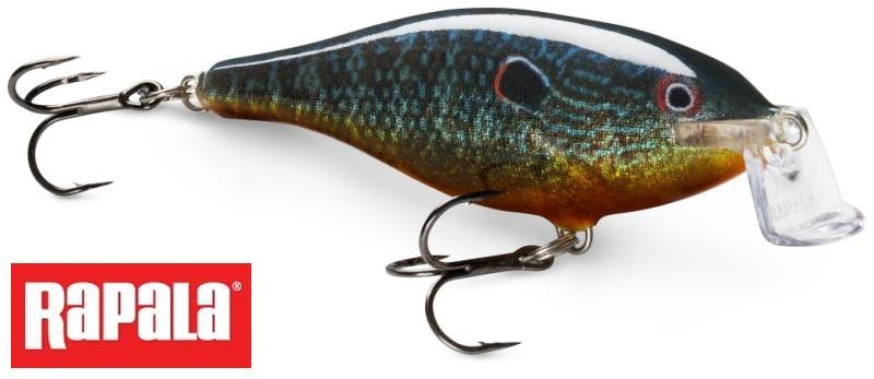 Shallow Shad Rap 09 SSR09