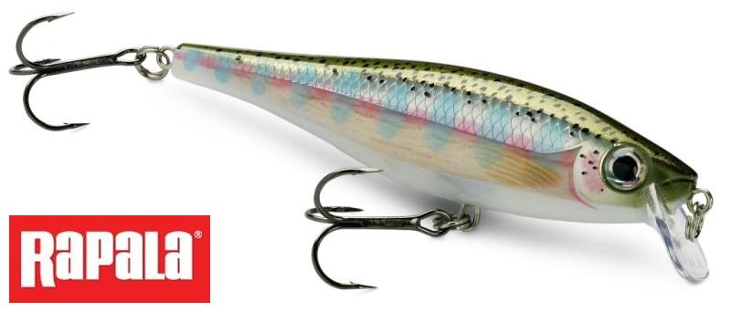 BX Minnow 07 BXM07 a BX Minnow 10 BXM10