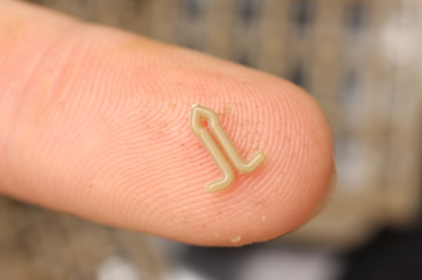 Csali stopper - Korda Extenda Stops