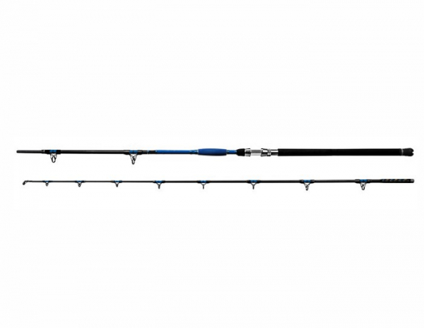 Sumcový prút - Delphin HAZARD 255cm/500g