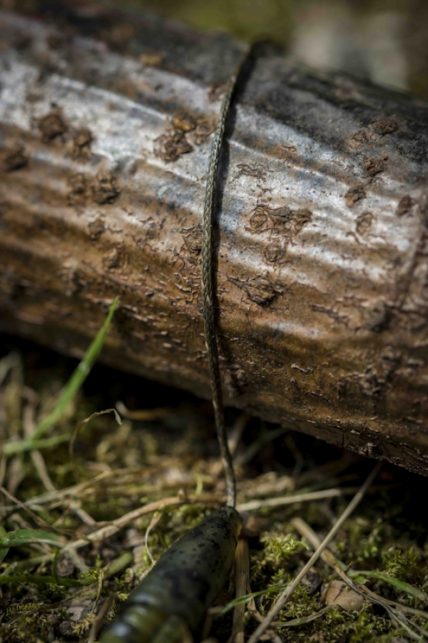 Olověná šňůra - Pindown Unleaded Leader 50lb