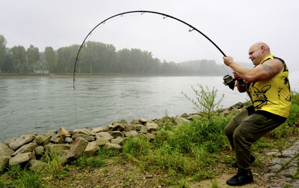 Sumcový prút - 3,05M BLACK CAT WILD CAT'Z BEAST 100G 300G