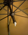Deštník - Fox 60inch Brolly