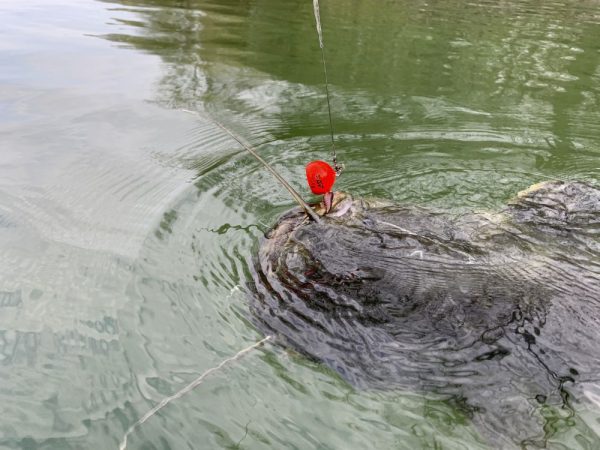 Jig horog - 160G black BLACK CAT FIRE-BALL 1pcs