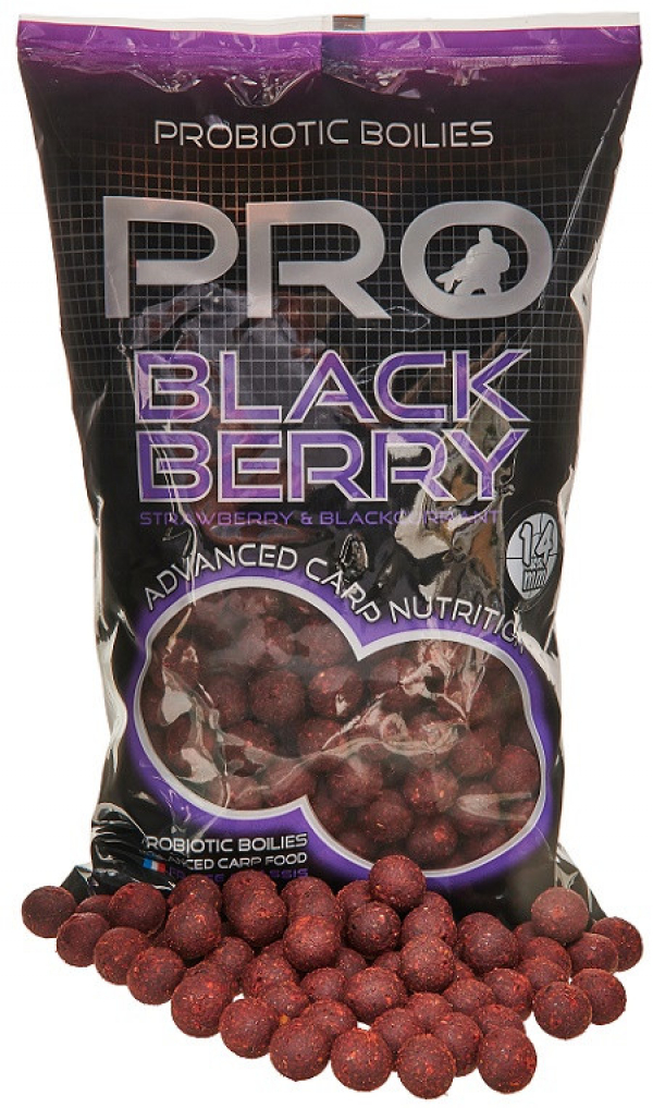 Bojli - Starbaits Probiotic Pro Blackberry