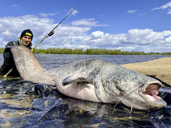 Harcsazó bot - 3,00M BLACK CAT PERFECT PASSION XH-S 600G