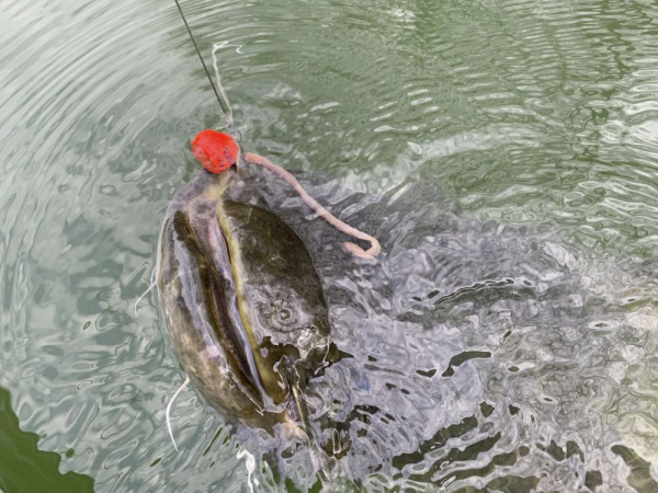 Jig horog - 200G BLACK BLACK CAT FIRE-BALL 1PCS