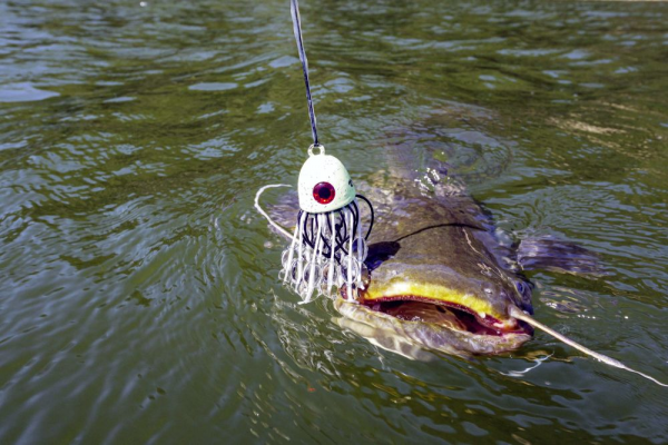 Harcsázó műcsali - BLACK CAT BATTLE TEASER SÁRGA/FEKETE 80G