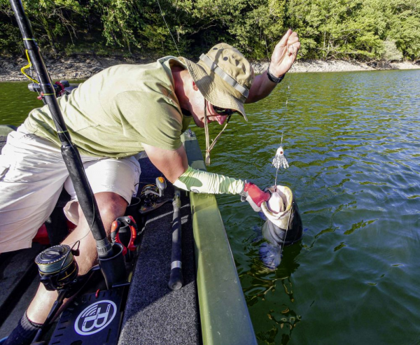 Harcsázó műcsali - BLACK CAT BATTLE TEASER SÁRGA/FEKETE 120G