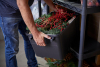 Prepravný box Plano Sportsman's Trunk - Small