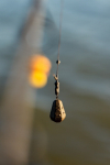 Ólom Nash Dumpy Gripper Swivel Lead