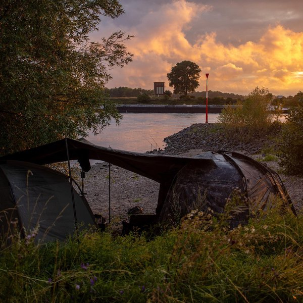 Nash Bank Life Multi Tarp XL Camo