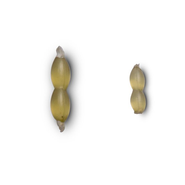 Bojli stopper Nash Hair Stops NEW