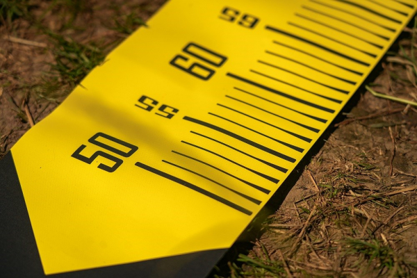 Black Cat Méter Cat Measure