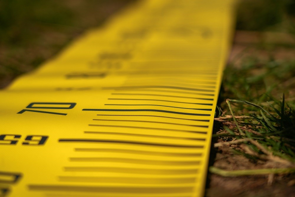 Black Cat Méter Cat Measure