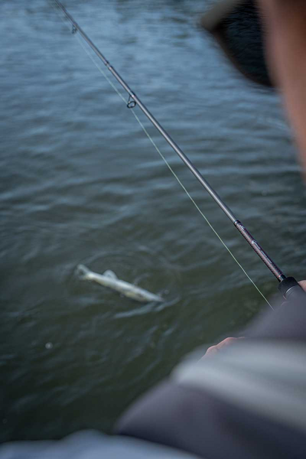 Fox Rage Warrior Zander Jig Rod 10-30g 240cm