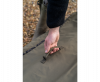 Avid Carp RVS Bedchair Bag