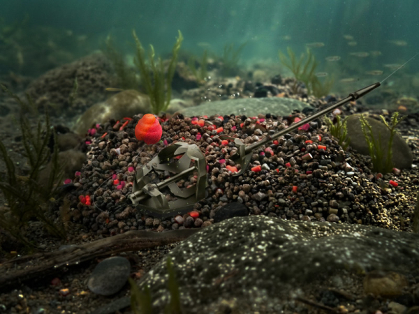 Pellet box Delphin Reaxe READY&GO