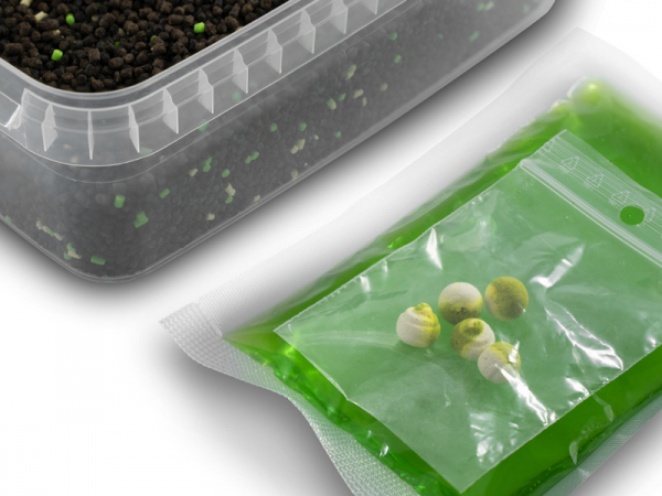 Pellet box Delphin Reaxe READY&GO