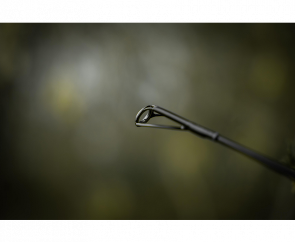 BLACK CAT Perfect Passion X Vertical