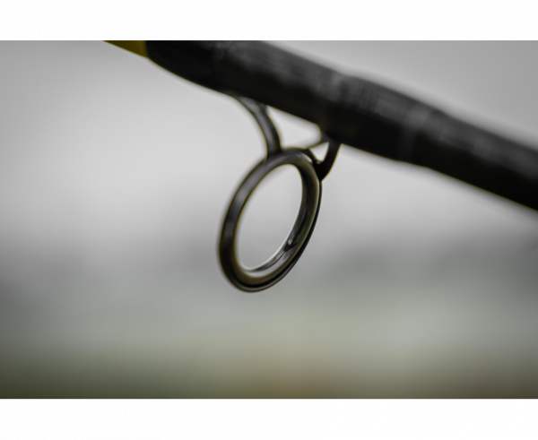 BLACK CAT Perfect Passion X Long Range