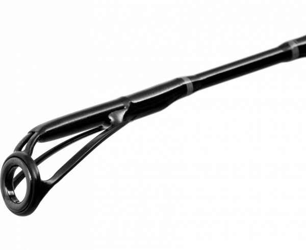 BLACK CAT Perfect Passion X Casting