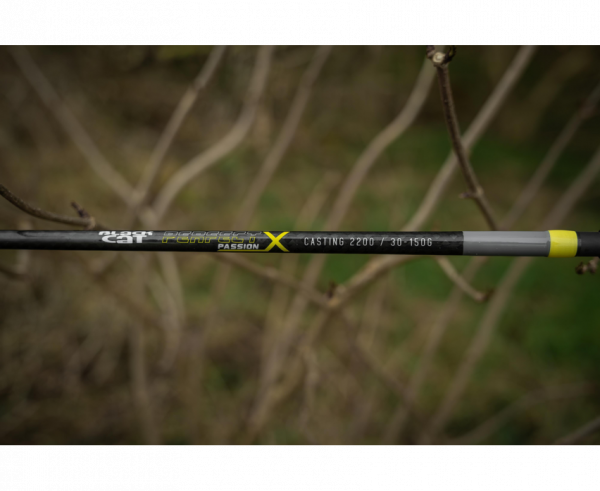 BLACK CAT Perfect Passion X Casting