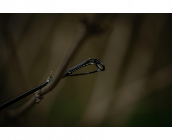 BLACK CAT Perfect Passion X Bank