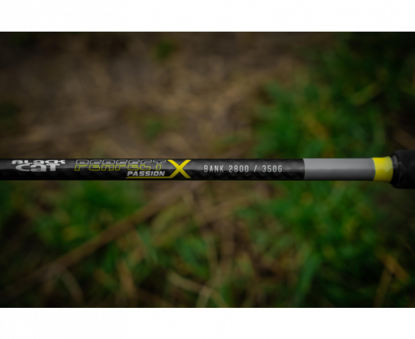 BLACK CAT Perfect Passion X Bank