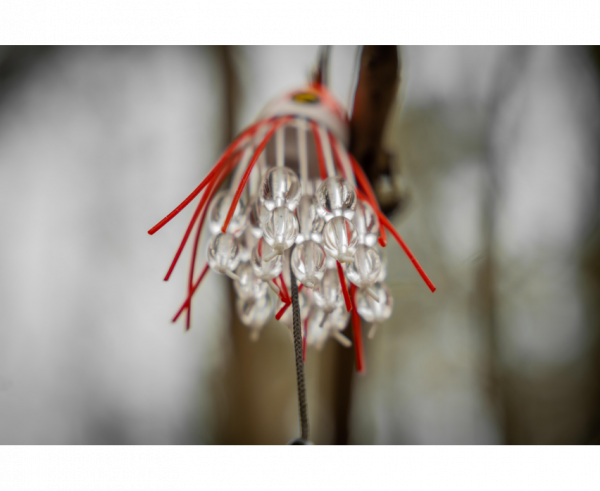 BLACK CAT Battle Teaser