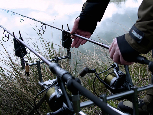 Delphin ETNA LEGEND4RY