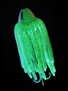 Madcat WORMS TEASER