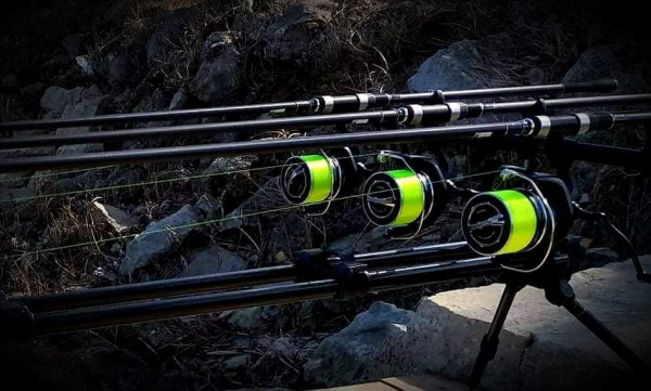 KATRAN Synapse Neon Line