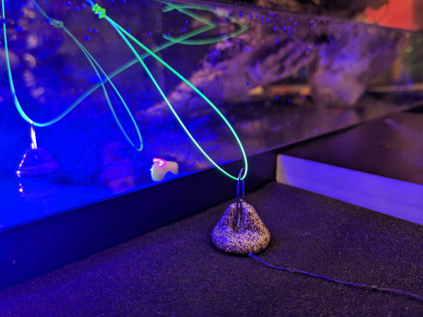 KATRAN Synapse Neon Line