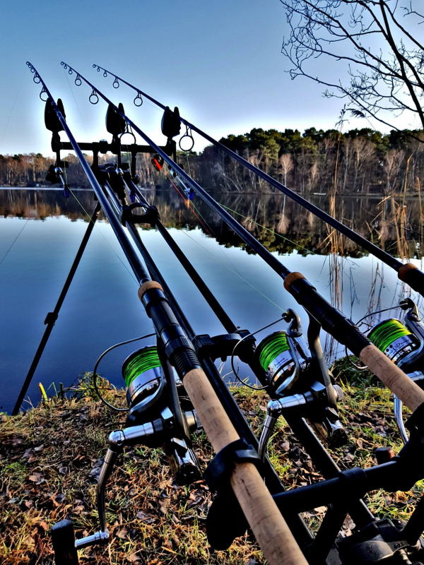 KATRAN Synapse Eclipse Line