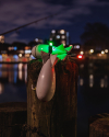 FOX Spomb Light Kit