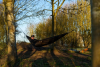 NASH Bank Life Hammock