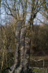 SOLAR WORLDWIDE SINGLE ROD SLEEVE