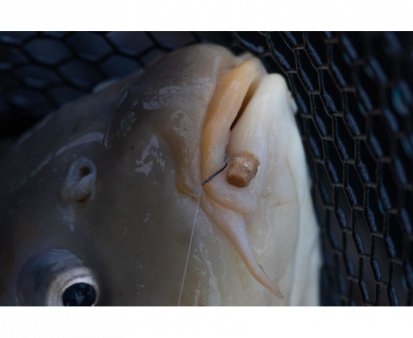 Preston Hookable Bait Bands