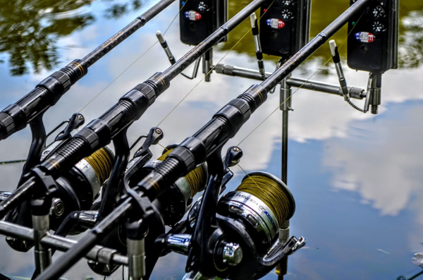 KATRAN Synapse Carp Line