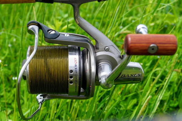 KATRAN Synapse Carp Line