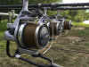KATRAN Synapse Carp Line