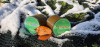 KATRAN Synapse Carp Line