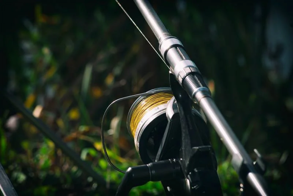 KATRAN Synapse Carp Line